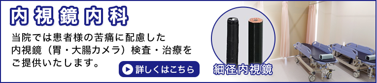 内視鏡内科