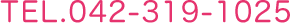 042-319-1025